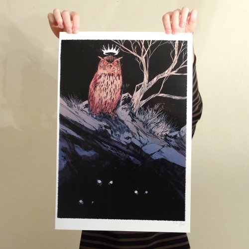 Hibou Aurélien Morinière Tirage numérique Tiré à 10 exemplaires Papier brillant 250g Signé et numéroté Dimensions : 33 cm x 49 cm Année : 2013