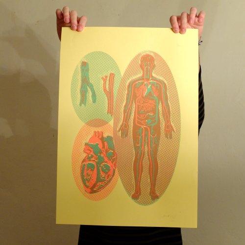 Corps humain Gasch Sérigraphie 2 couleurs Tiré à 21 exemplaires Papier nervuré et nacré ou Papier jaune 300g Signé et numéroté Dimension : 35 cm x 50 cm Année : 2016 4